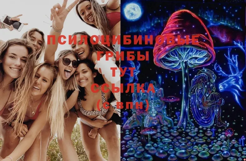 Галлюциногенные грибы Psilocybine cubensis  блэк спрут как зайти  площадка клад  как найти   Сергач 